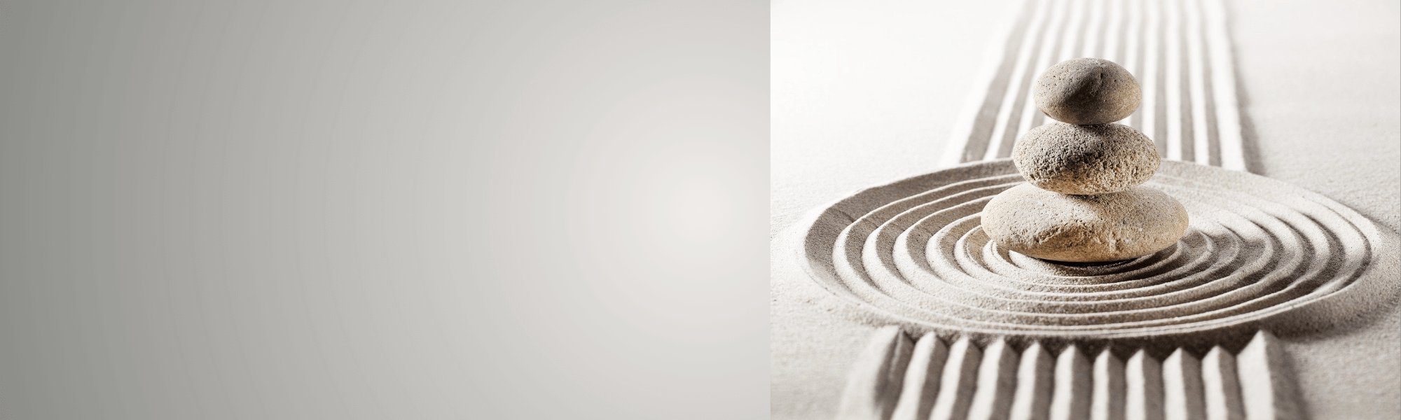 syntony_about_banner